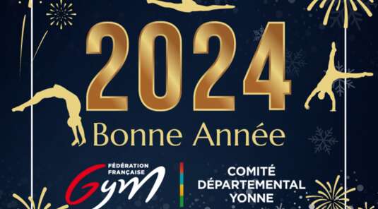 🌟✨ Meilleurs Vœux 2024  ! ✨🌟