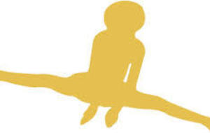 Programme z' acrobates