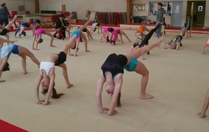 Stage Collectif élite