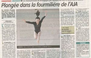 Article de presse