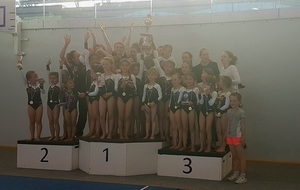 Vainqueur coupe de l' Yonne 2017 : Le club de Paron !!