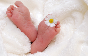 Toutes nos félicitations!