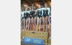 35 equipes aux championnats interdepartementaux GAF à Chatillon