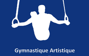 GAM- Stage départemental