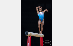 GAF- Stage départemental Fédéral A