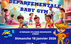 Rencontre départementale Baby Gym