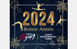 🌟✨ Meilleurs Vœux 2024  ! ✨🌟