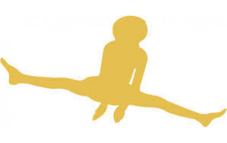 Programme z' acrobates