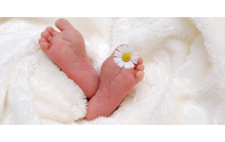 Toutes nos félicitations!