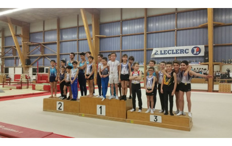 Championnat départemental GAM... un beau spectacle