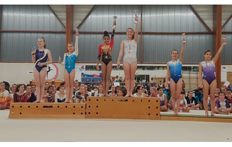 Départementaux individuelles GAF . Le top Départ !