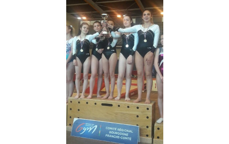 35 equipes aux championnats interdepartementaux GAF à Chatillon