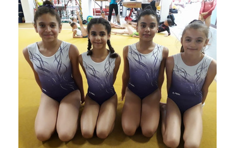 Equipes fédérales A et individuelles 8-9 ans à Marsannay la cote. Derniére compétition de l'année.