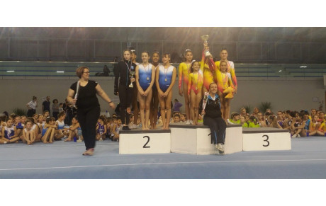 85 Equipes réunies à Sens !