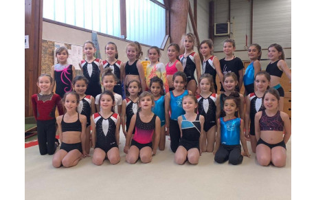 GAF Bilan des effectifs poussines - La relève assurée